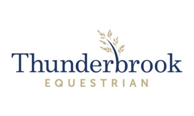 Thunderbrook